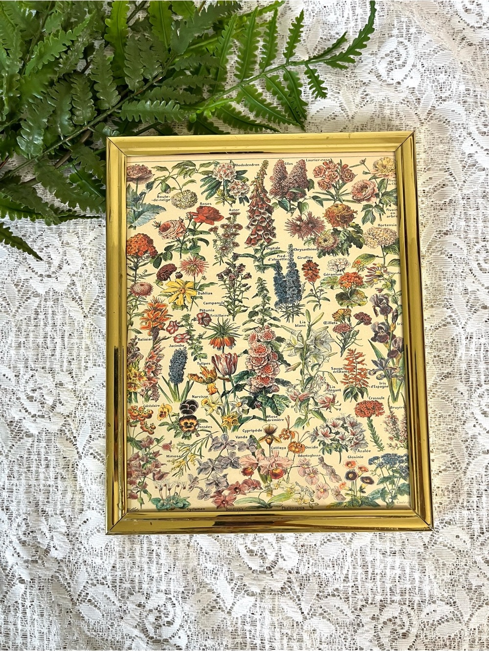 Vintage Solid Brass Framed Floral Chart 8x10